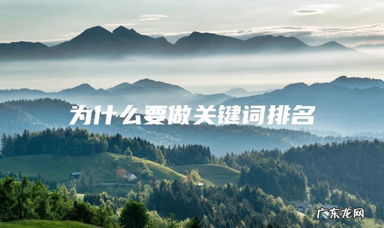 为什么要做关键词排名