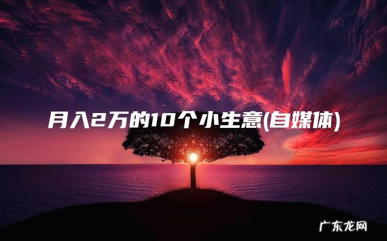 月入2万的10个小生意(自媒体)