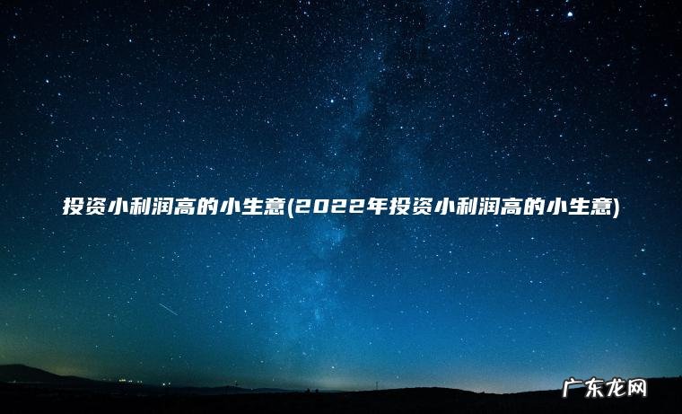 投资小利润高的小生意(2022年投资小利润高的小生意)