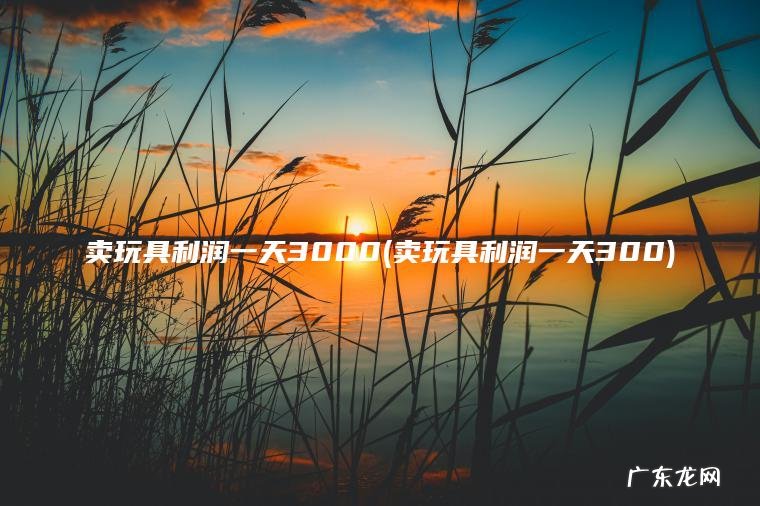 卖玩具利润一天3000(卖玩具利润一天300)