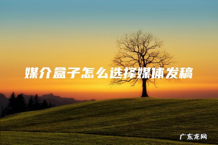 媒介盒子怎么选择媒体发稿