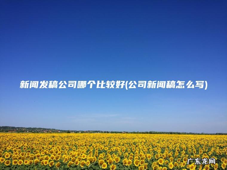 新闻发稿公司哪个比较好(公司新闻稿怎么写)