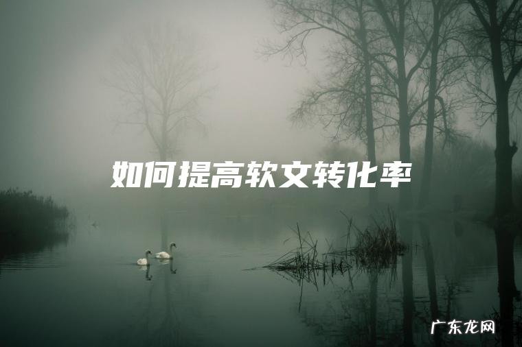 如何提高软文转化率