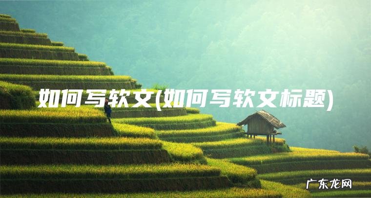 如何写软文(如何写软文标题)
