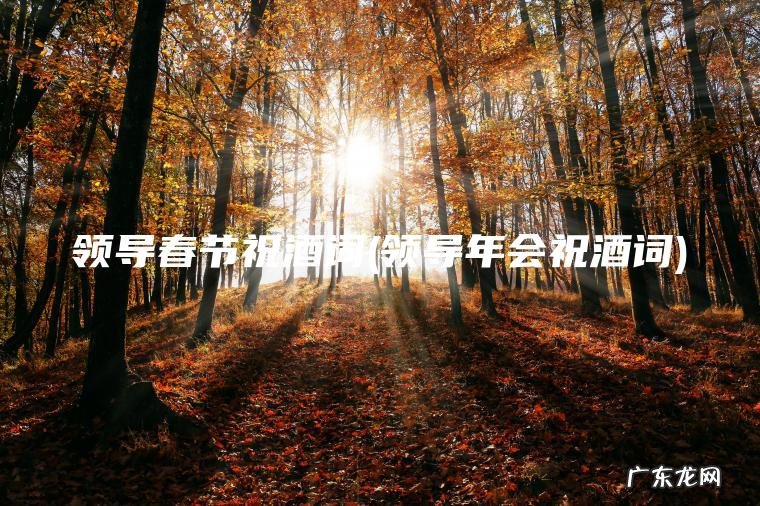 领导春节祝酒词(领导年会祝酒词)