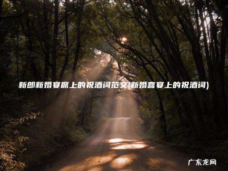 新郎新婚宴席上的祝酒词范文(新婚喜宴上的祝酒词)