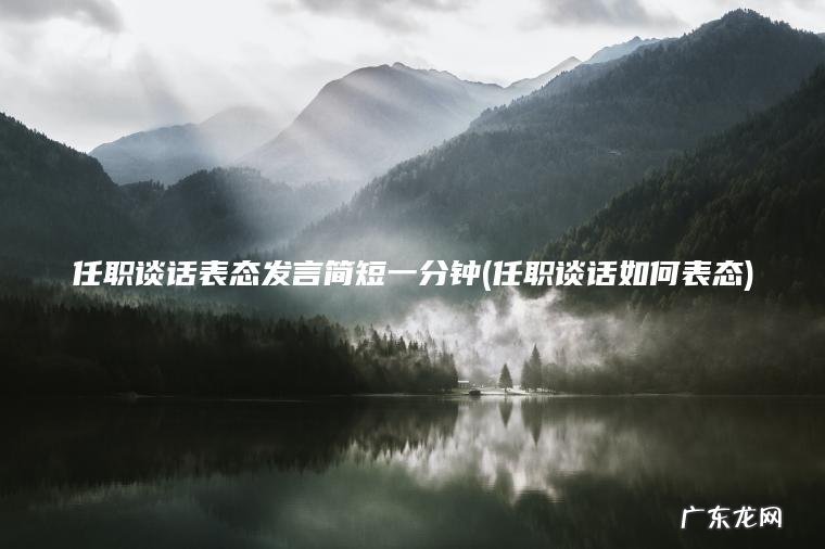 任职谈话表态发言简短一分钟(任职谈话如何表态)