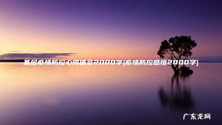 基层疫情防控心得体会2000字(疫情防控感悟2000字)