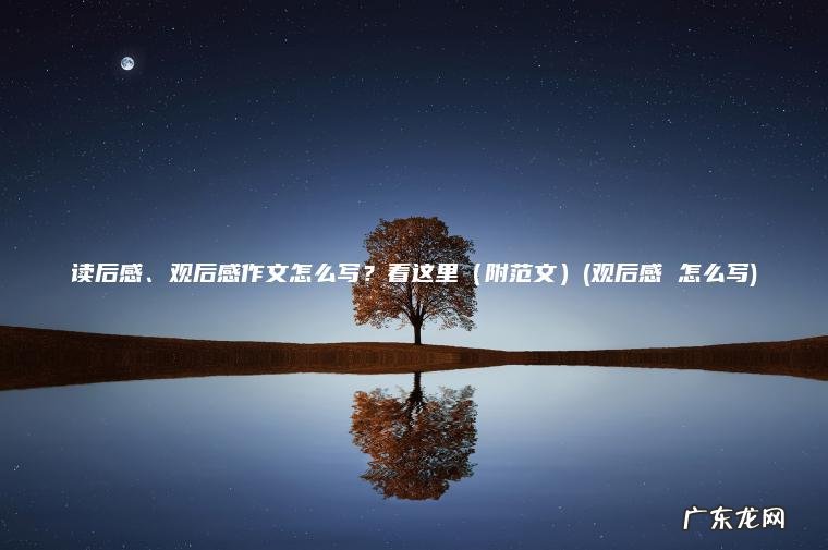 读后感、观后感作文怎么写？看这里（附范文）(观后感 怎么写)