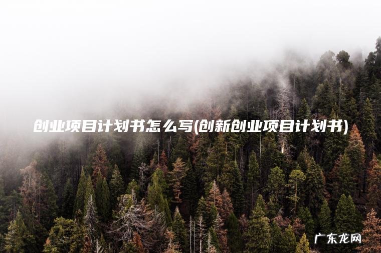 创业项目计划书怎么写(创新创业项目计划书)