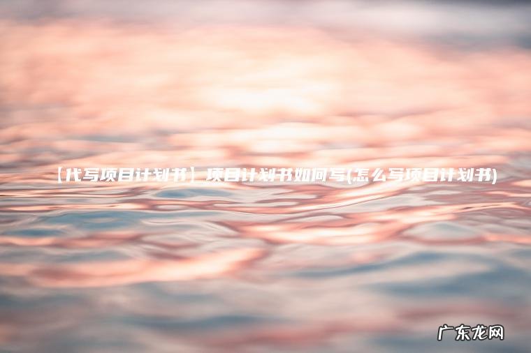 【代写项目计划书】项目计划书如何写(怎么写项目计划书)