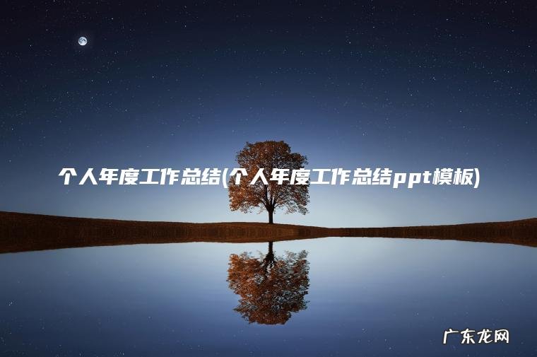 个人年度工作总结(个人年度工作总结ppt模板)