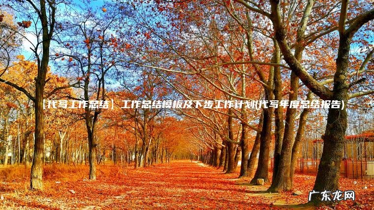【代写工作总结】工作总结模板及下步工作计划(代写年度总结报告)