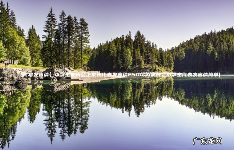 【代写发言稿】小学生家长会上家长代表发言稿2500字(家长会小学生代表发言稿简单)