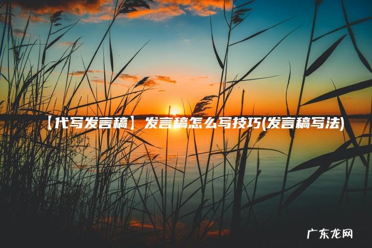 【代写发言稿】发言稿怎么写技巧(发言稿写法)