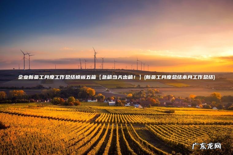 企业新员工月度工作总结模板五篇【急稿当天出稿！】(新员工月度总结本月工作总结)