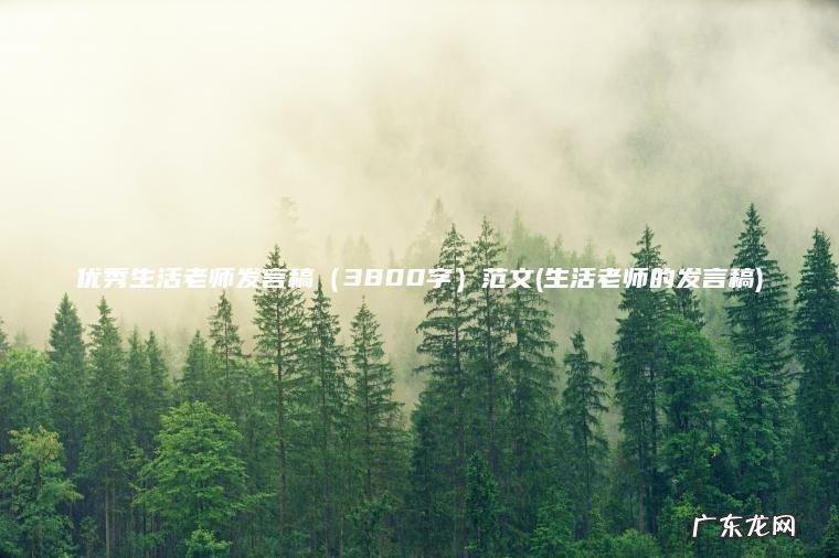 优秀生活老师发言稿（3800字）范文(生活老师的发言稿)