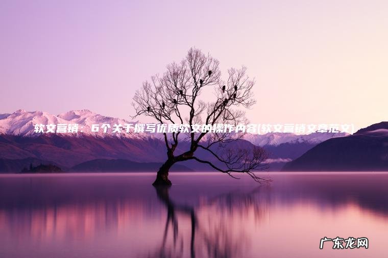 软文营销：6个关于撰写优质软文的操作内容(软文营销文章范文)