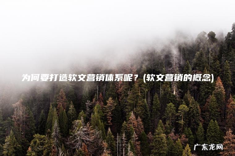 为何要打造软文营销体系呢？(软文营销的概念)