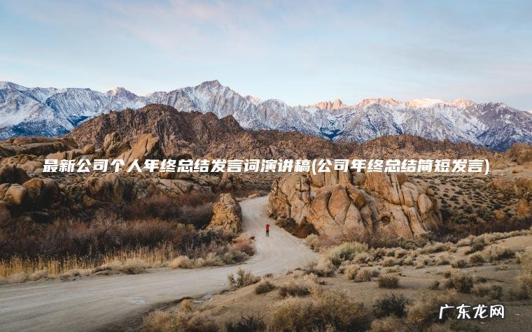 最新公司个人年终总结发言词演讲稿(公司年终总结简短发言)