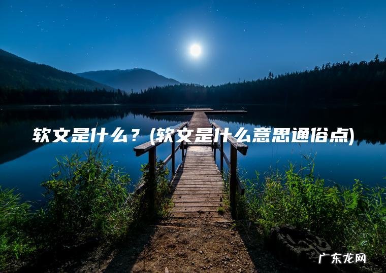 软文是什么？(软文是什么意思通俗点)
