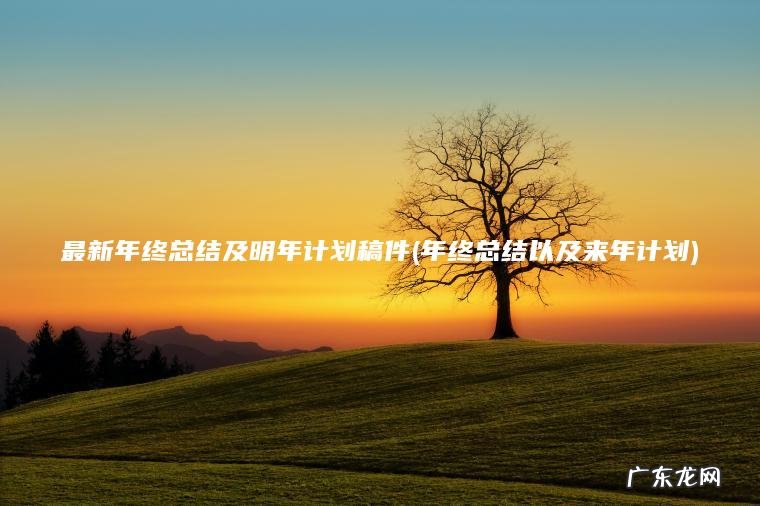 最新年终总结及明年计划稿件(年终总结以及来年计划)