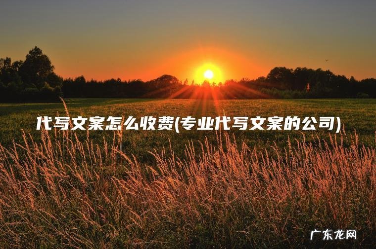 代写文案怎么收费(专业代写文案的公司)