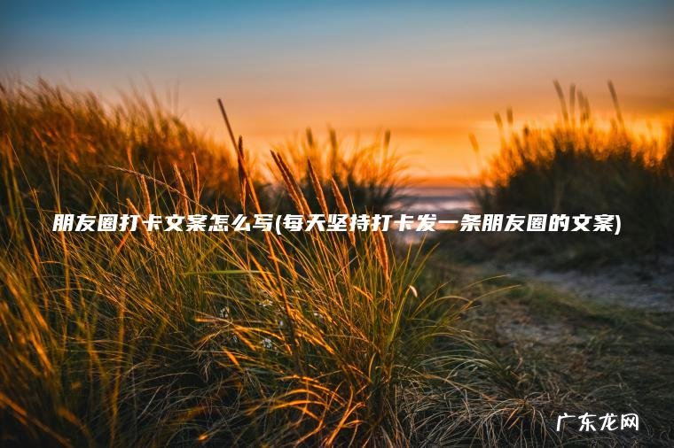 朋友圈打卡文案怎么写(每天坚持打卡发一条朋友圈的文案)