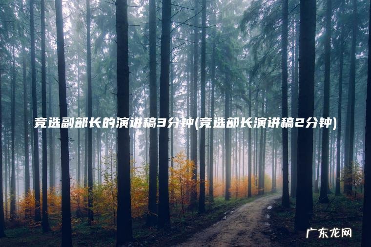 竞选副部长的演讲稿3分钟(竞选部长演讲稿2分钟)