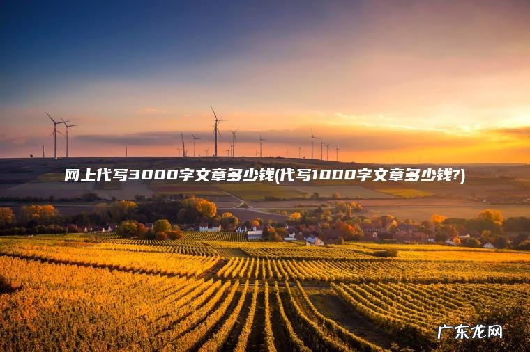 网上代写3000字文章多少钱(代写1000字文章多少钱?)