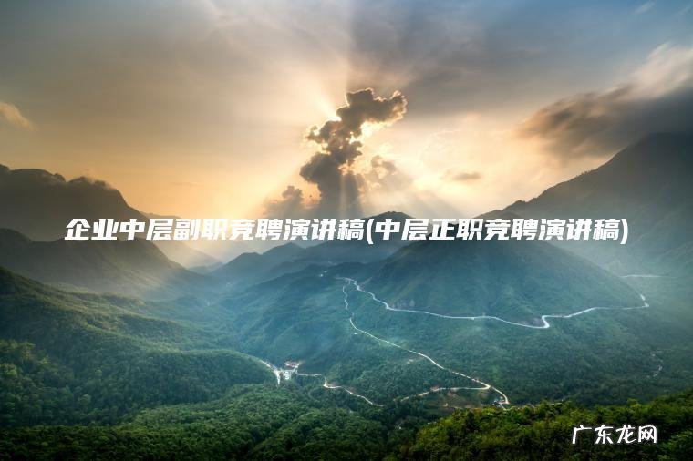 企业中层副职竞聘演讲稿(中层正职竞聘演讲稿)