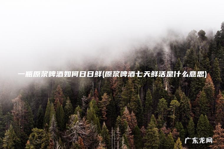 一瓶原浆啤酒如何日日鲜(原浆啤酒七天鲜活是什么意思)