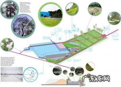 什么是可持续发展