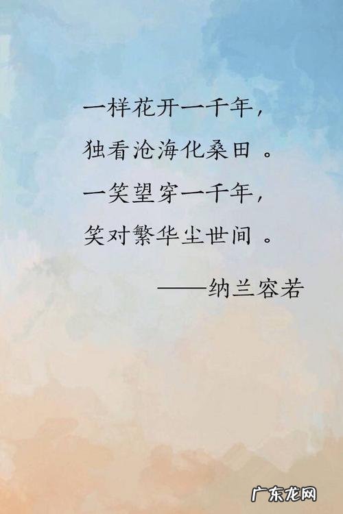 人生若只如初见的寓意