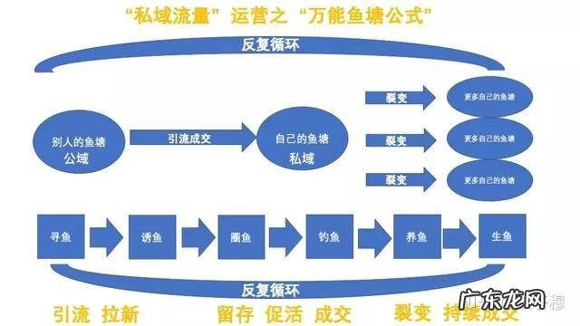公域流量和私域流量