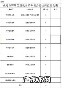 公益性岗位是什么