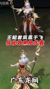 凤凰于飞王昭君返场