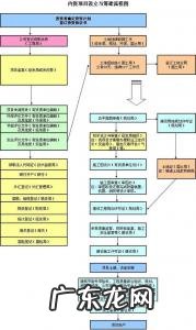 分公司成立流程