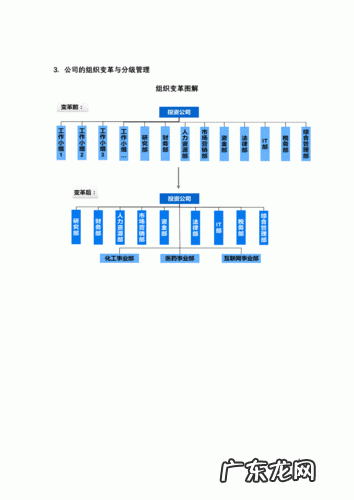 分公司独立核算