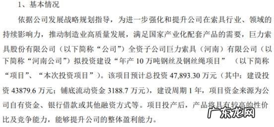 10万元投资项目