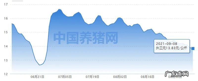 2013养猪成本和利润