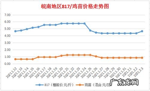 817毛鸡价格今天 817毛鸡价格今天