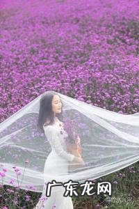 一眼万年什么意思