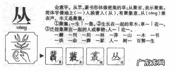 一眼万年什么意思