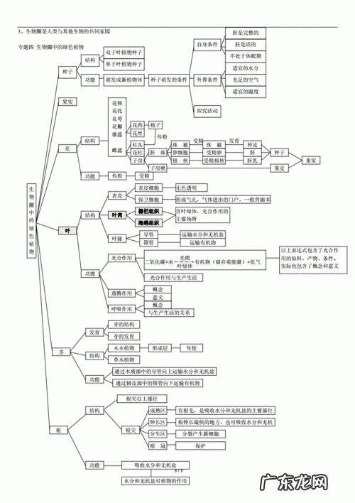 七下生物思维导图