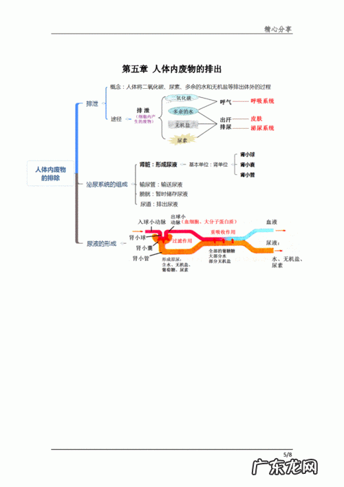 七下生物思维导图大全