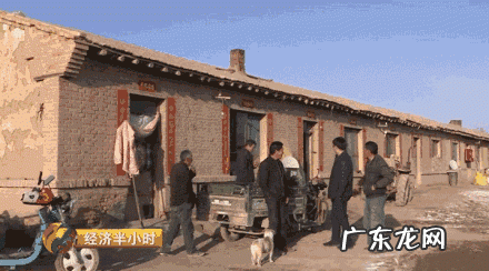 七十年代好种田