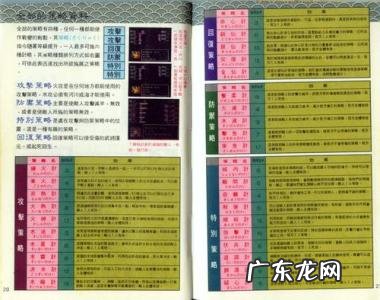 三国志英杰传秘籍