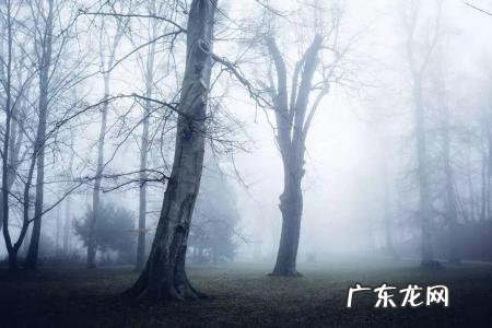 世态炎凉的意思