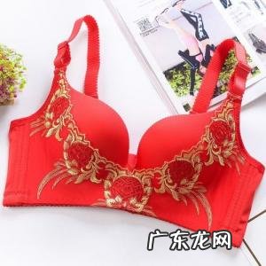 运动文胸品牌前十大排名榜 中国文胸十大品牌